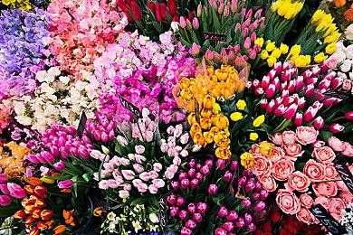 《潜行者2》预购开启 本体国区268元